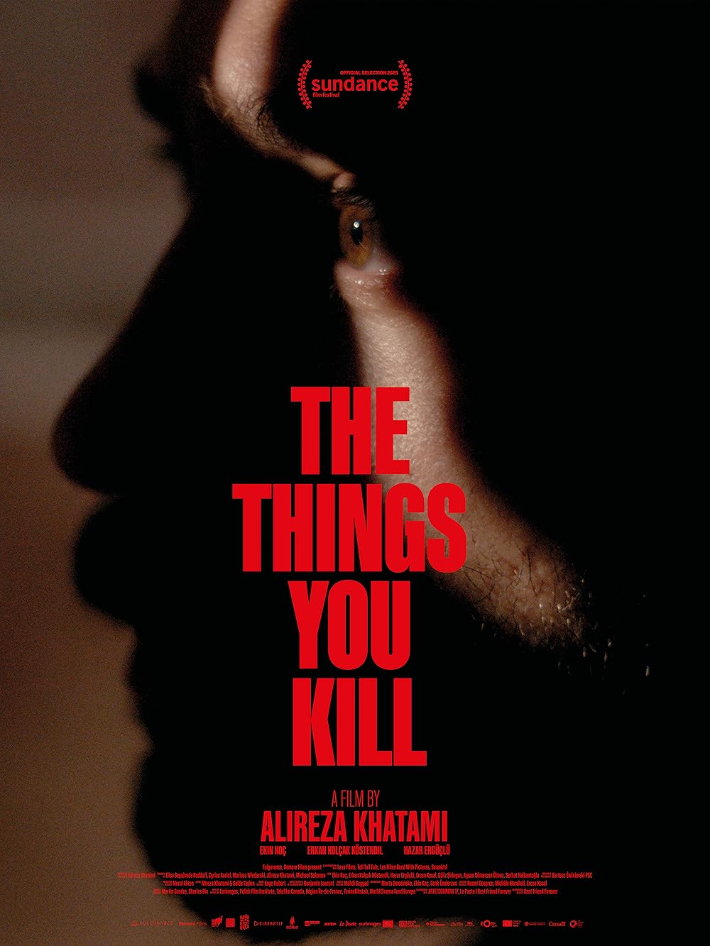 دانلود فیلم The Things You Kill